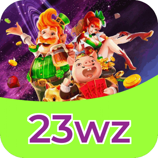 Interface 23wz